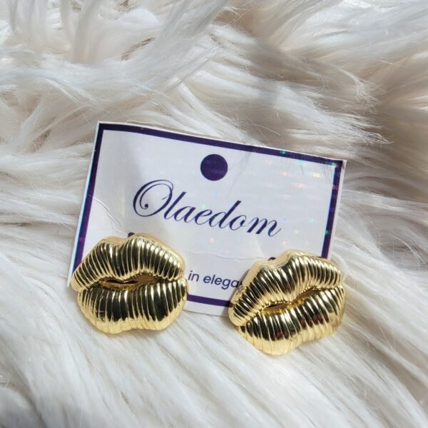 CHIC EARRINGS - CE102