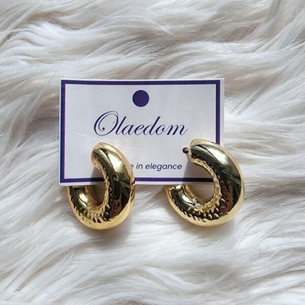 CHIC EARRINGS - CE102